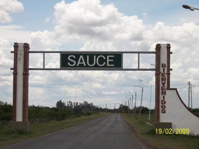Sauce